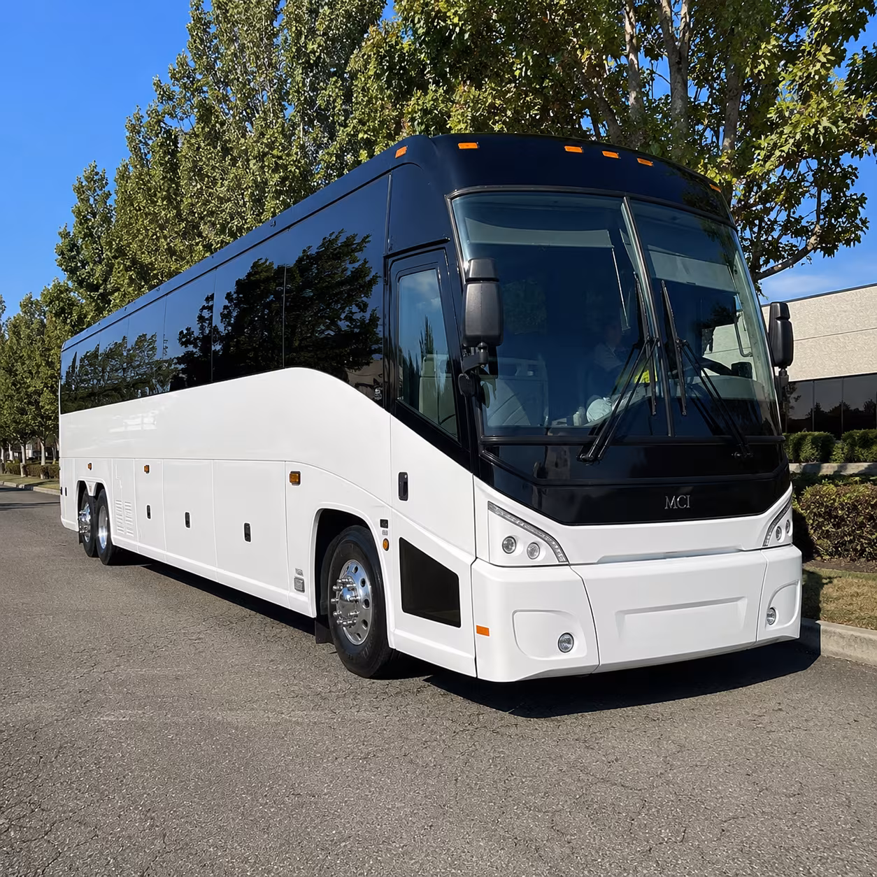 johns creek 50 passenger charter bus