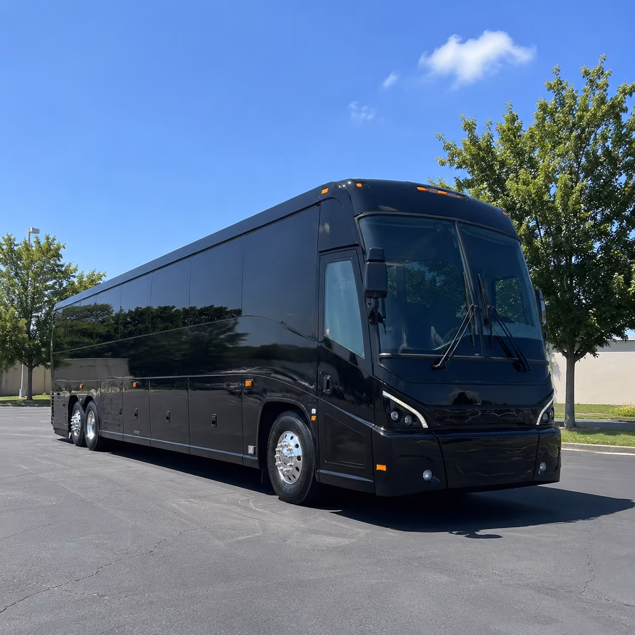 johns creek 56 passenger charter bus