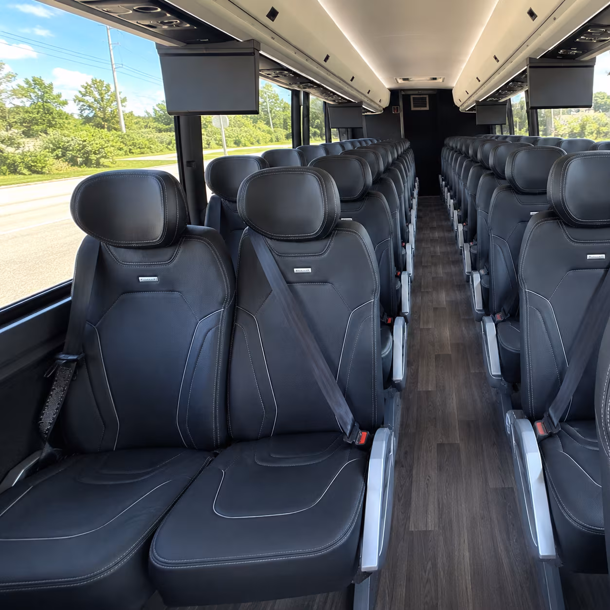 johns creek birthday party transportation